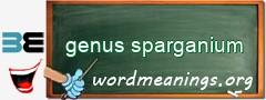 WordMeaning blackboard for genus sparganium